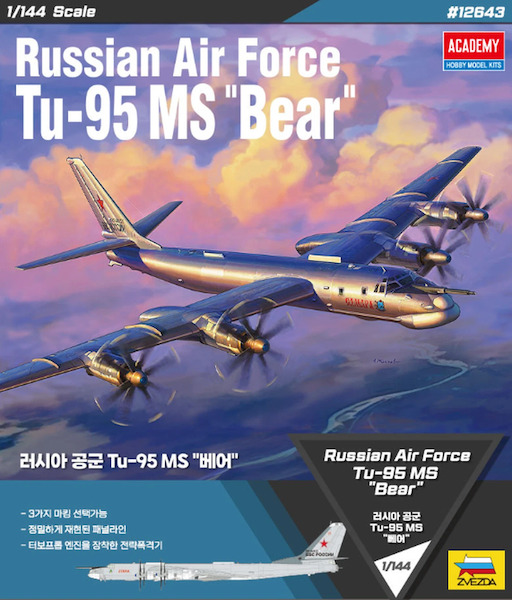 Russian Air Force Tupolev Tu95MS "Bear"  12643