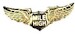 Mile High Club Honorary Member wing pin PIN400