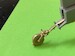 Brass undercarriage Legs for Cessna L19/O-1 Birddog (Roden)  ACM-32013