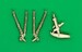 Vought F8 Crusader Undercarriage legs set (Haegawa) ACM-48024
