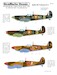 Spitfire Mk.V Collection Pt.1  AMD48-122
