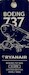 Keychain made of real aircraft skin: Boeing 737-800BCF Ryanair EI-DPB (blue) 