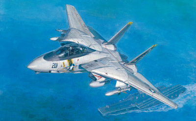 F14A Tomcat (VF84 Jolly Rogers)  AF10003