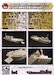 Detail Set US Navy LCT MK6 501 Class Landing Ship Tank (1943-1945) ag35052