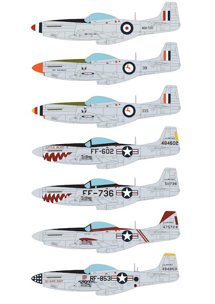 Korean War Mustangs 48D026