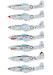 Korean War Mustangs 48D026