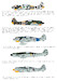 Jagdgeschwader JG54 Vol.1 48D031