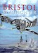 Bristol Beaufighter The Full Story