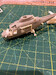 Agusta A109A Conversion set (Revell) Air.CS-23
