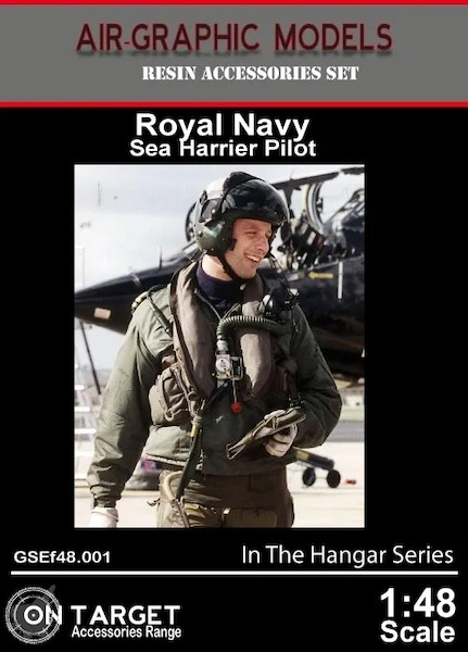Royal Navy Sea Harrier pilot figure AIR.GSEf-4801