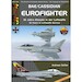 BAe/Cassidian Eurofighter 10 Jahre Einsatz in der Luftwaffe - 10 years of Luftwaffe service 