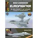 BAe/Cassidian Eurofighter 10 Jahre Einsatz in der Luftwaffe - 10 years of Luftwaffe service adjp006