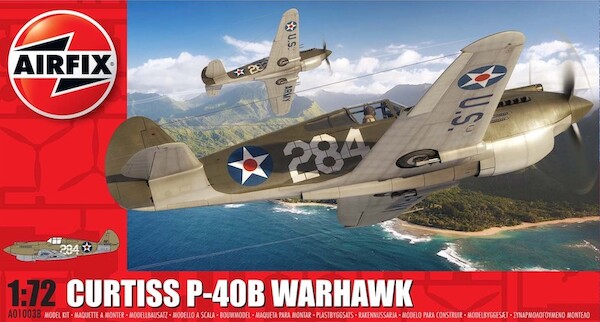 Curtiss P40B Warhawk  01003B