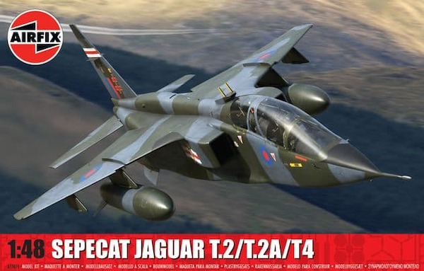 Sepecat Jaguar T2/T4  AF11011
