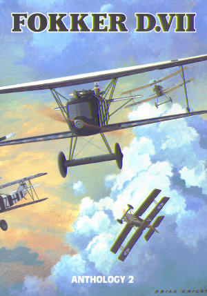 Fokker DVII 1902207106