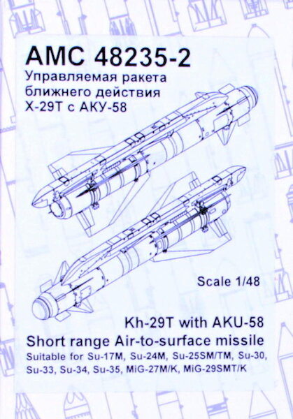 Kh-29T Short range Air to Surface Missile with AKU58 Pylon (2)  AMC48235-2