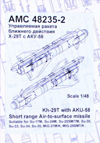 Kh-29T Short range Air to Surface Missile with AKU58 Pylon (2) AMC48235-2