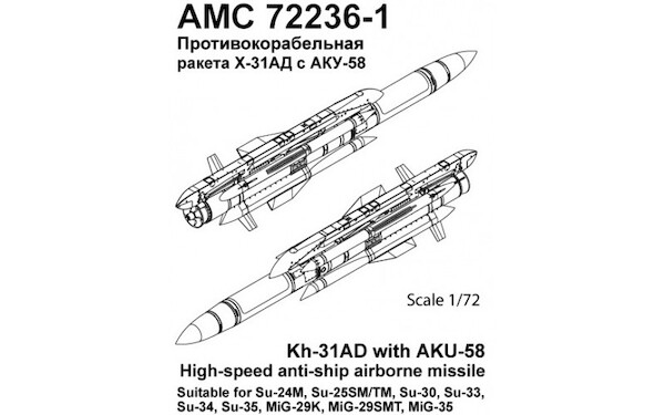 Kh-31AD High Speed Anti Ship Airborne Missile with AKU58 Pylon (2)  AMC72236-1