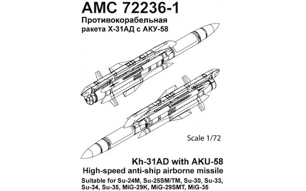 Kh-31AD High Speed Anti Ship Airborne Missile with AKU58 Pylon (2) AMC72236-1