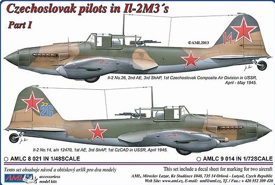 Czechoslovak pilots in Il-2M3 s Part 1  AMLC48-021