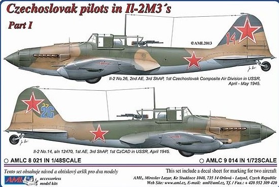 Czechoslovak pilots in Il-2M3 s Part 1 AMLC48-021