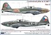 Czechoslovak pilots in Il-2M3 s Part 2 AMLC48-022