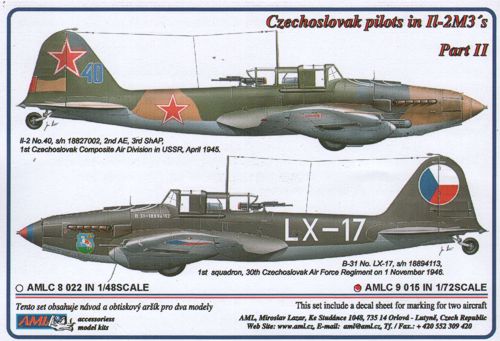 Czechoslovak pilots in Il-2M3 s Part 2 AMLC9-015