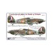 Czechoslovak pilots in the Battle of Britain part 1 : Hawker Hurricane MK1 310sq AMLC9-036
