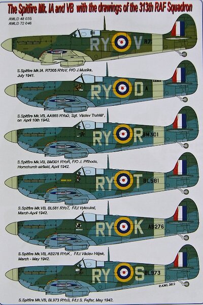 The Spitfire Mk.IA and VB with the drawings of the 313th RAF Squadron  AMLD48035