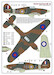 310 Squadron RAF (Hurricane, Spitfire)  AMLD48040