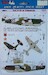 Red Devils in P40 Tomahawks AMLD72037