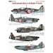 Czechoslovak Pilots in the Battle of France (MB152, MS406, H75, D520) AMLD72054