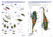 Sikorsky H19 Chickasaw (Includes Dutch Markings!! (BACK IN STOCK)  48022