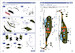 Sikorsky H19 Chickasaw (Includes Dutch Markings!! (BACK IN STOCK) 48022