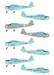 PZL TS-8 Bies Survivors  AA72045