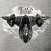 T-Shirt Lockheed SR-71 Blackbird Large  02145115