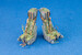 Seatbelt stitches 1/32 & 1/35 (White) AN040
