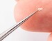 Super Precision Tweezers (Stainless Steel) AN059