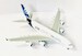 Airbus A380 House Color "Love at first flight" F-WWDD  A234001
