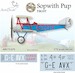 Sopwith Pup Racer  ARC48-017