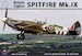 Supermarine Spitfire MKIX (2x)  with resin parts ARK-48008
