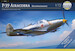 Bell P39Q/N Airacobra Reconnaissance 70058