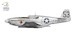 North American P51B Mustang (China, Burma, India)  70075