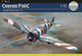 Curtiss P36C Hawk 70082