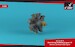 Armstrong Siddeley Jaguar III engine AR ACA4818