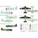 The Texans, North American T6 texan and harvards in the world ACD48030