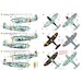 The Thunderbolts, P47D, F47D and F47N Thunderbolts around the world ACD48031