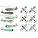 The Thunderbolts, P47D, F47D and F47N Thunderbolts around the world  ACD48031