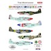The Mustangs, North American P51D and F51D Mustangs in Post-war service ACD72034