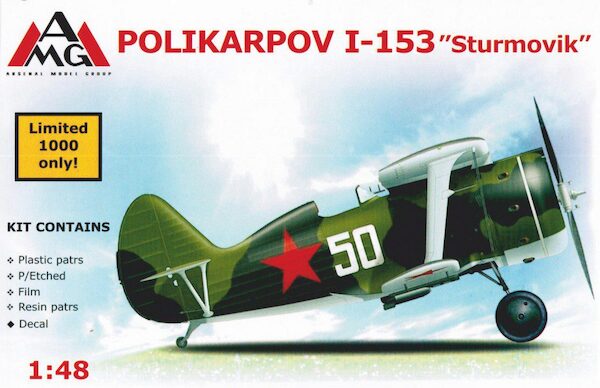 Polikarpov I-153 "Sturmovik"  AMG48306